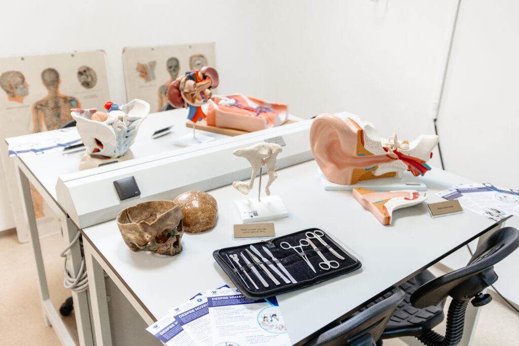 2025-06-26 Muzeu Anatomie-20